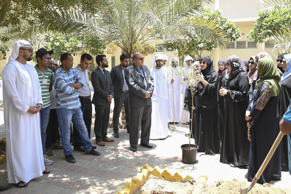 Planting Al Ghaf tree at Al Ain Campus